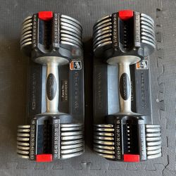 Adjustable Dumbbells (Weider Core)