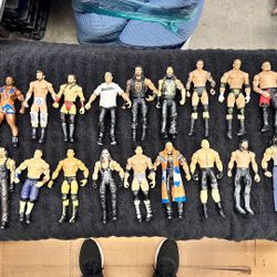 WWE Elite Champions Action Figures