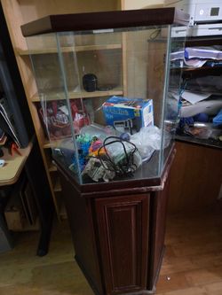 55 gallon tank free
