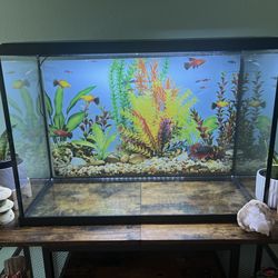 29 Gallon Aquarium  with accessories