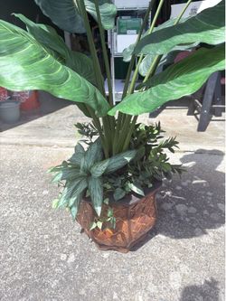 3.5 Ft Faux Tropical Plant in Woven Basket Planter 🌿