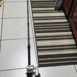 Fishing rod And Reel 