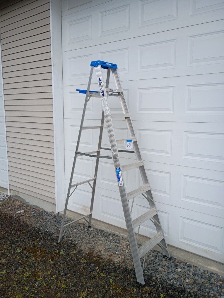 8' Ladder