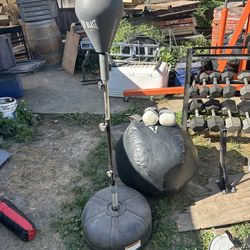 Punching bag with stand and punching stand