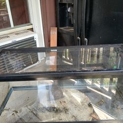 Reptile Tank