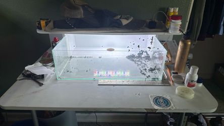 3.5 gallon shallow rimless tank