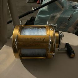 Penn International 80stw