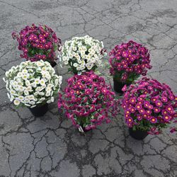 Artificial decorative flowers $60 for all