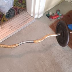 Barbell With Weights