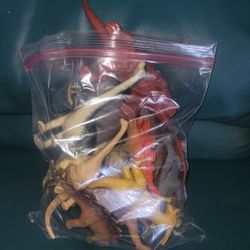 Dinosaurs Toy