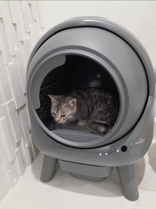 Brand New Automatic Self Cleaning Litter Box – App Controlled