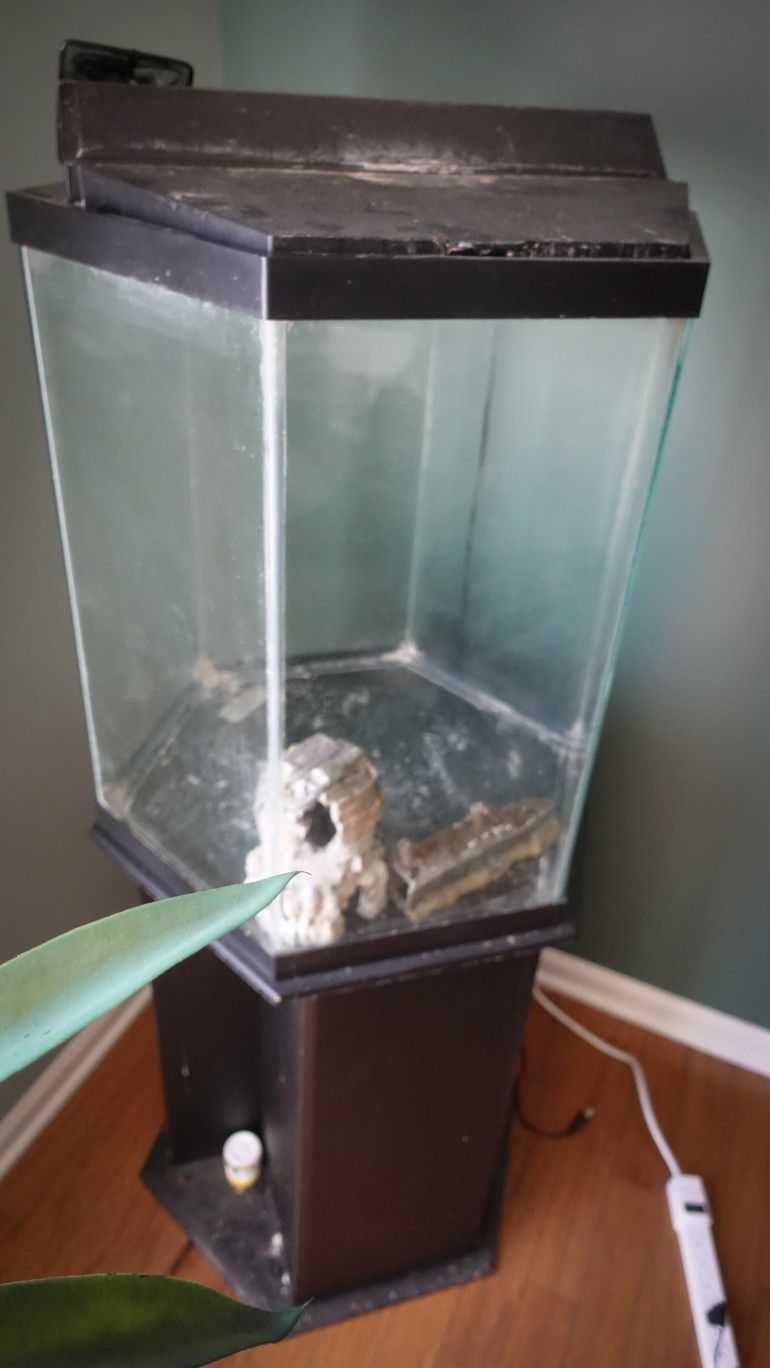 Aquarium / Fish Tank 35 Gallon Hexagon with Stand and 2 Fish Ornaments