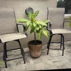2 New Tall Patio Chairs 