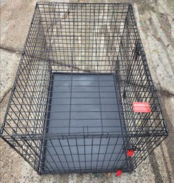 Large Kong collapsible wire dog crate double door