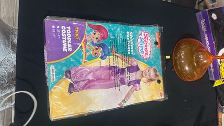 Shimmer and shine costume