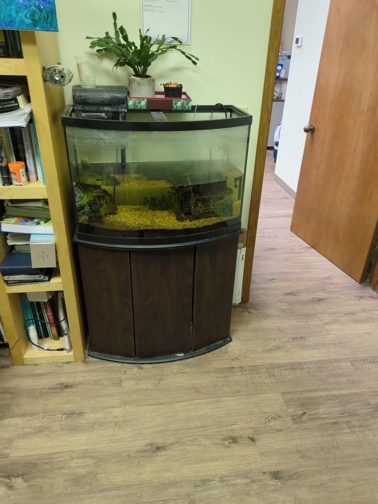 Fish Tank