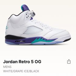 Jordan 5 Grapes 🍇 