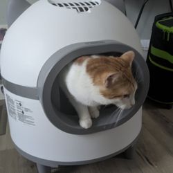 Self Cleaning Litter Box With App Control 