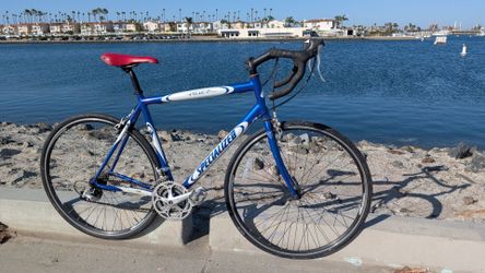 Specialized Allez road bike 24 speed racing bicycle men's 21" frame 28" wheels please read USA colors