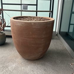 Giant Plant Pot