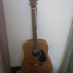 Acoustic Guitar 