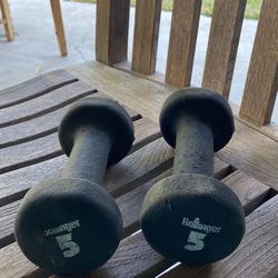 Dumbbell set (Bollinger Brand) 