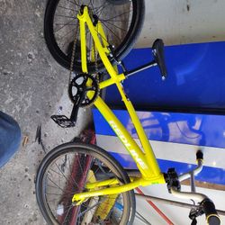 Redline Proline Mini BMX Racing Bike