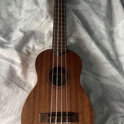 Little Guitar 
