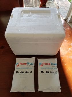 Styrofoam cooler with 2 ice packs