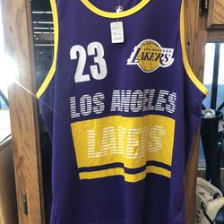 NBA LA Lakers LeBron James #23 Basketball Purple Fan Jersey Tank Top Size L