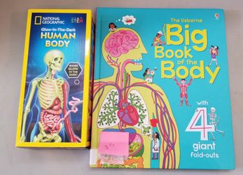 School  / Homeschool  / Curriculum 