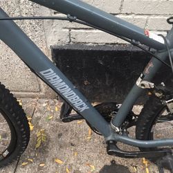 21 speed diamondback mountain bike