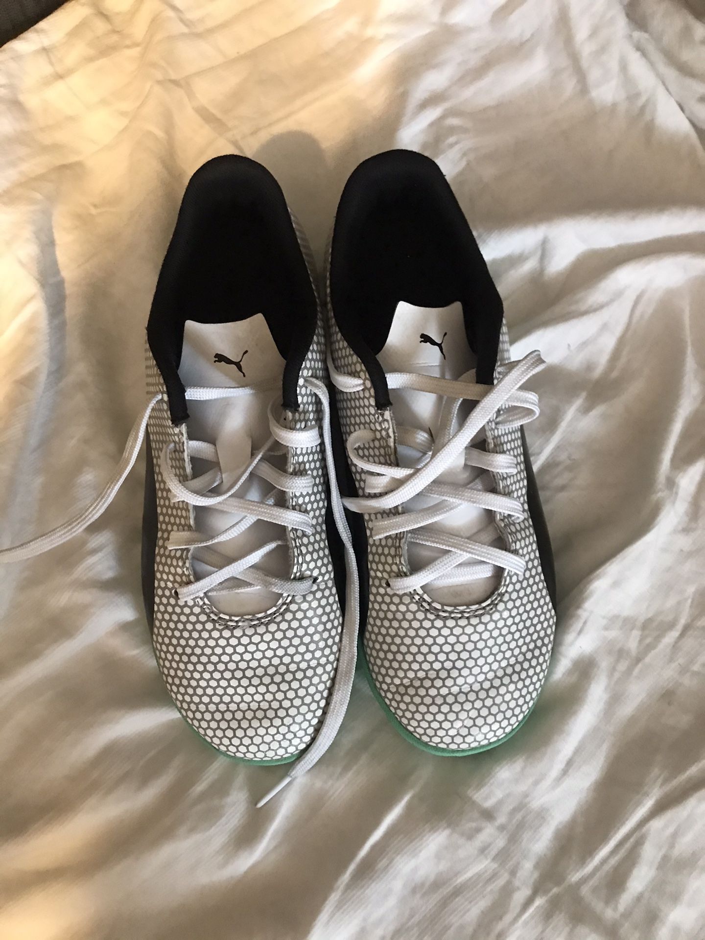 Pumas indoor soccer shoes