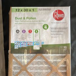 Rheem Air Filters 12”x30”x1”