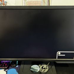 Benq Zowie Gaming Monitor 
