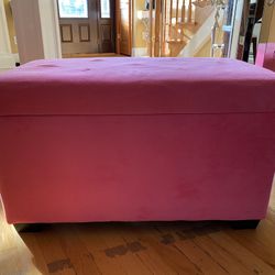 Pink Storage with peace lining