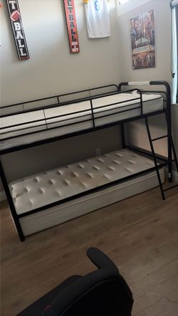Twin Bunk Bed
