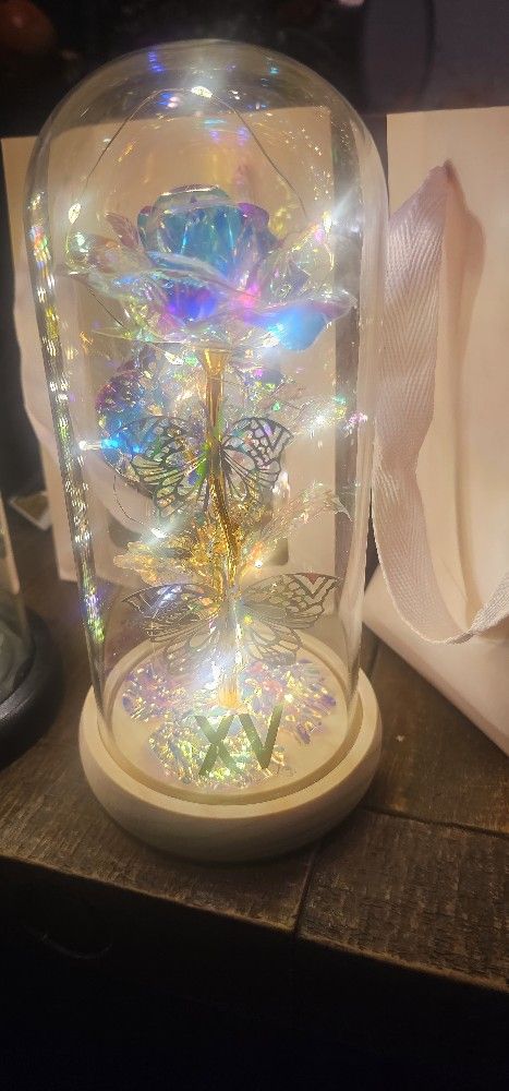 Light Up Butterfly Light With XV Printed On Them