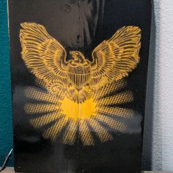 Eagle And The Sun Art