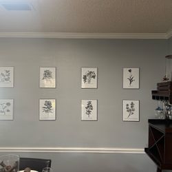 Black And White Floral Framed Prints