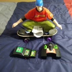 Tony Hawk Skateboard Birdhouse