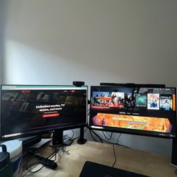 Dual Gaming Monitors 