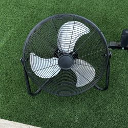 Fan