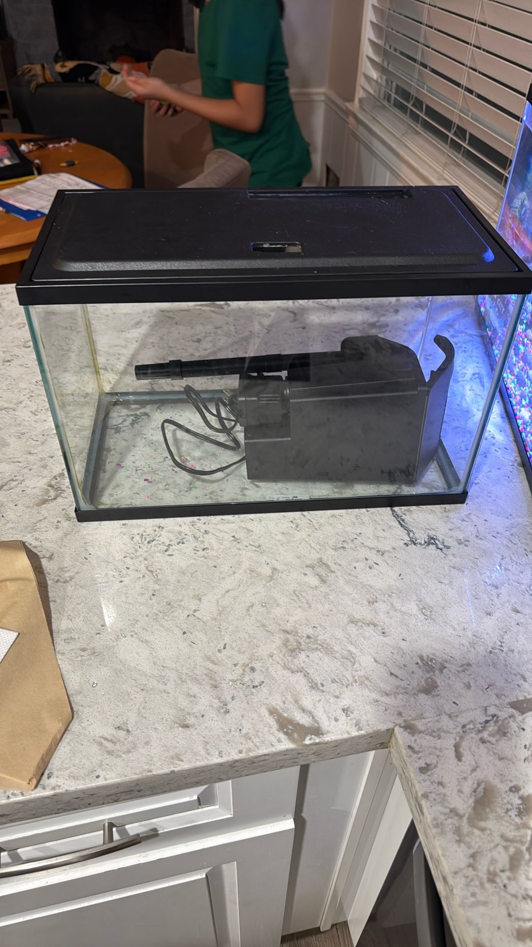 5 gallon aquarium