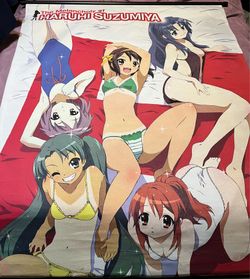 The Melancholy of Haruhi Suzumiya Anime Fabric Wall Scroll Poster