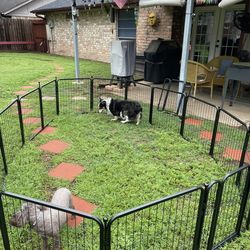 Portable Pet Fence