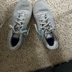 Lebron Basketball Shoes