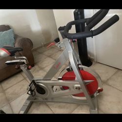 Sunny Exercise Bike/ Bicicleta De Ejercicio 