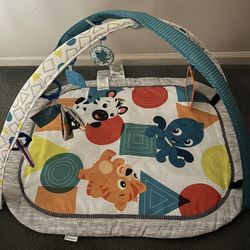 Baby Einstein Floor Mate & Foot Piano 