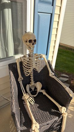 Full Size Halloween Skeleton Decoration